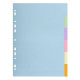 Forever pastel kartonnen tabbladen – 6 posities – A4 – assorti kleuren